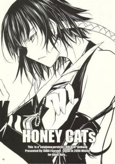 (C71) [Garyuh-Chitai (TANA)] HONEY CATs (Bleach)