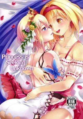 Fuck Princess is Seeking Unknown - Granblue fantasy Asslick
