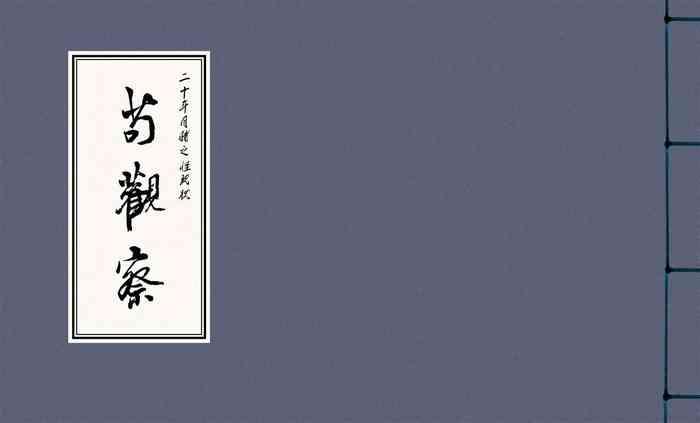 Play 二十年目睹之怪现状 苟观察 江栋良 上海人民美术出版社