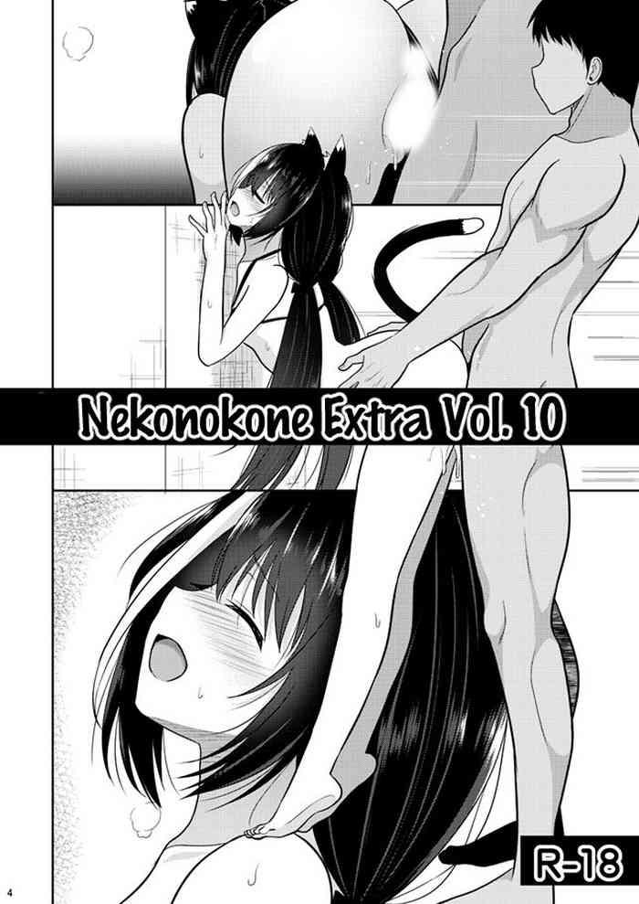 Dotado Nekonokone Omakebon Vol. 10 - Princess connect Holes