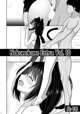 Leite Nekonokone Omakebon Vol. 10 - Princess connect Nalgona