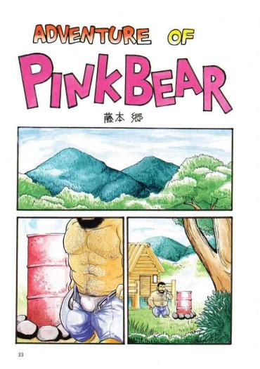 Freckles Adventure Of Pink Bear – Original Dotado