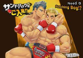 Celebrity Nudes Dokudenpa Jushintei - Kobucha Omaso – Need A Punching Bag!? Gayclips