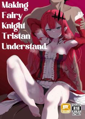 Amateurs Making Fairy Knight Tristan Understand - Fate grand order Alone