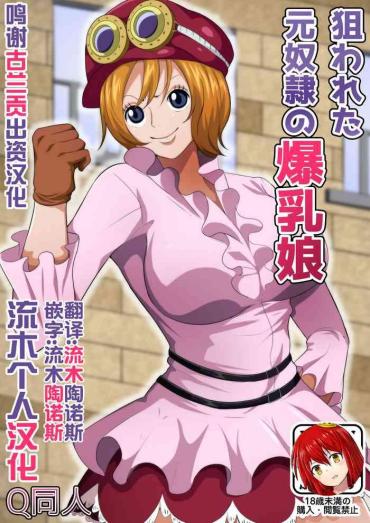 [Q Doujin] Nerawareta Moto Dorei No Bakunyuu Musume (One Piece) [Chinese] [流木个人汉化]