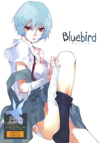 Doctor Bluebird - Neon Genesis Evangelion Insertion