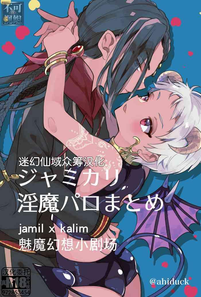 [Ahiru] Jamil Karim Inma Paro Matome (Disney: Twisted-Wonderland) [Chinese] [迷幻仙域×真不可视汉化组]