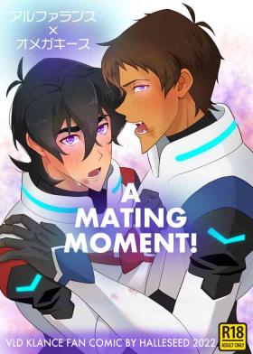 Animated A MATING MOMENT! - Voltron Masturbate