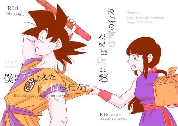 Outdoor Spacomi New Book Sample And Circle Information Goku X Chichi - Dragon Ball Z Dragon Ball