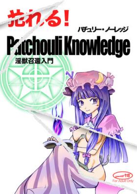 Ink Yareru! Patchouli knowledge - Touhou project Gorda