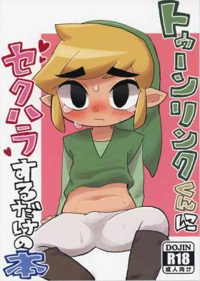 Pure18 Toon Link's Book of Sexual Harassment - The legend of zelda Gay Shaved