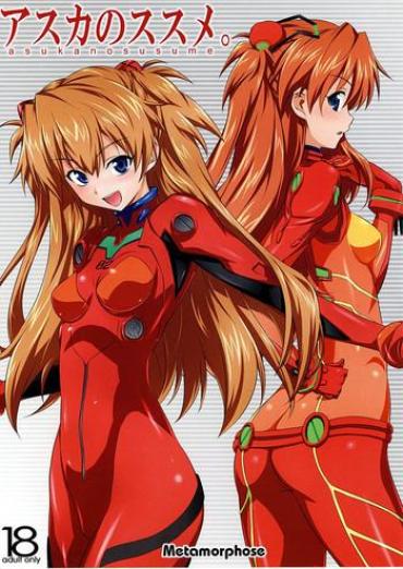 Petite Asuka No Susume. – Neon Genesis Evangelion Homosexual