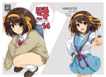 Hardcore Rough Sex Harucos 14 – The Melancholy Of Haruhi Suzumiya | Suzumiya Haruhi No Yuuutsu Bigblackcock