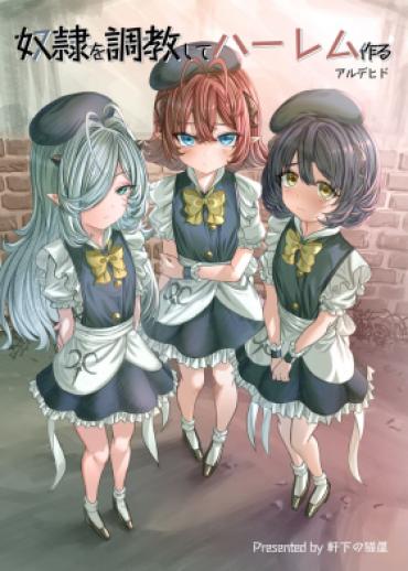 Breasts Dorei O Chokyo Shite Haremu Tsukuru – Original