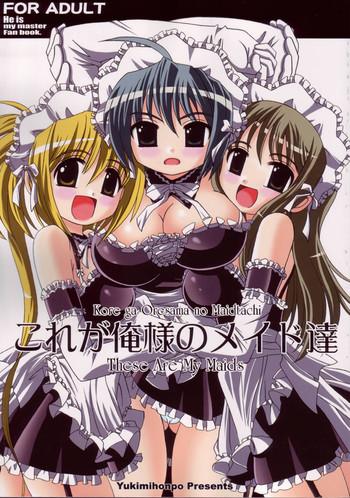 Costume (C68) [Yukimi Honpo (Asano Yukino)] Kore Ga Ore-sama No Maid-tachi (Kore Ga Watashi No Goshujin-sama) [English] - He Is My Master