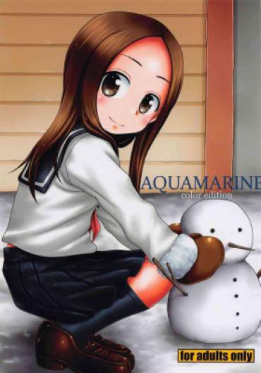 (C101) [HEARTS & CRUSTS (Nanana Nana)] AQUAMARINE Color Edition (Karakai Jouzu No Takagi-san)