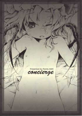 Rough Sex concierge - Touhou project Nalgona