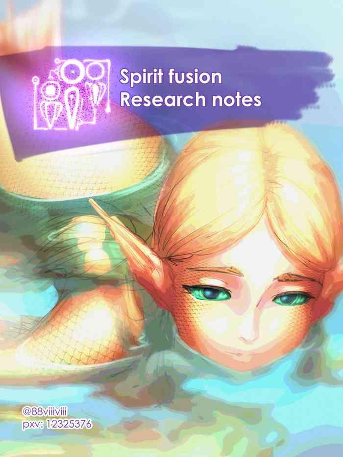 Boquete Spirit Fusion - The Legend Of Zelda