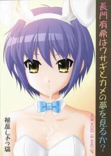 Private Sex Nagato Yuki Wa Usagi To Kame No Yume O Miru Ka? – The Melancholy Of Haruhi Suzumiya Adult