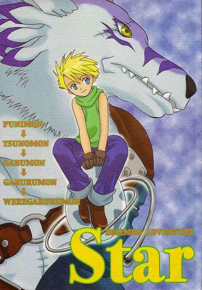 Babe Star - Digimon Adventure Furry