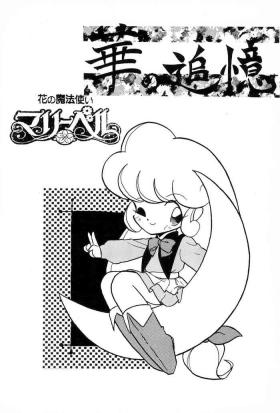 Hana no Tsuioku