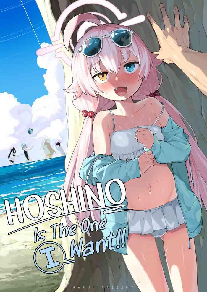 Pareja [Henry Plaza (Henrybird)] Hoshino Ga (Watashi Wa) Iin Da Yo!! | HOSHINO Is The One I Want!! (Blue Archive) [English] [Sloppy Seconds] [Digital] - Blue Archive Tugjob