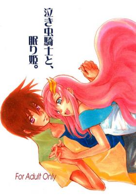 Ex Girlfriend Nakimushi Kishi to, Memuri Hime. - Gundam seed Small Boobs