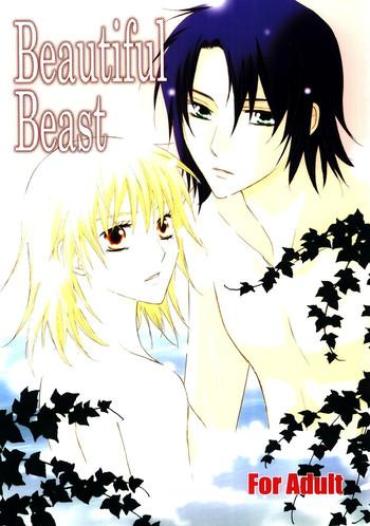 [Berry & Precious] Beautiful Beast (Gundam SEED DESTINY)