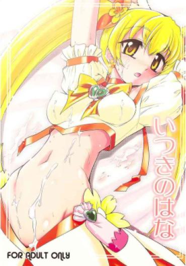 (C78) [YOKOSHIMAYA. (Yokoshima Takemaru)] Itsuki No Hana (HeartCatch Precure!) [Chinese] [个人团子翻译]