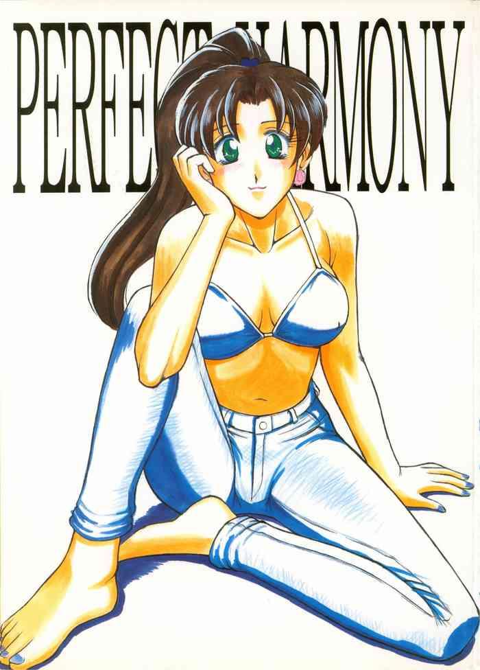 Muscle PERFECT HARMONY - Sailor Moon | Bishoujo Senshi Sailor Moon Curves