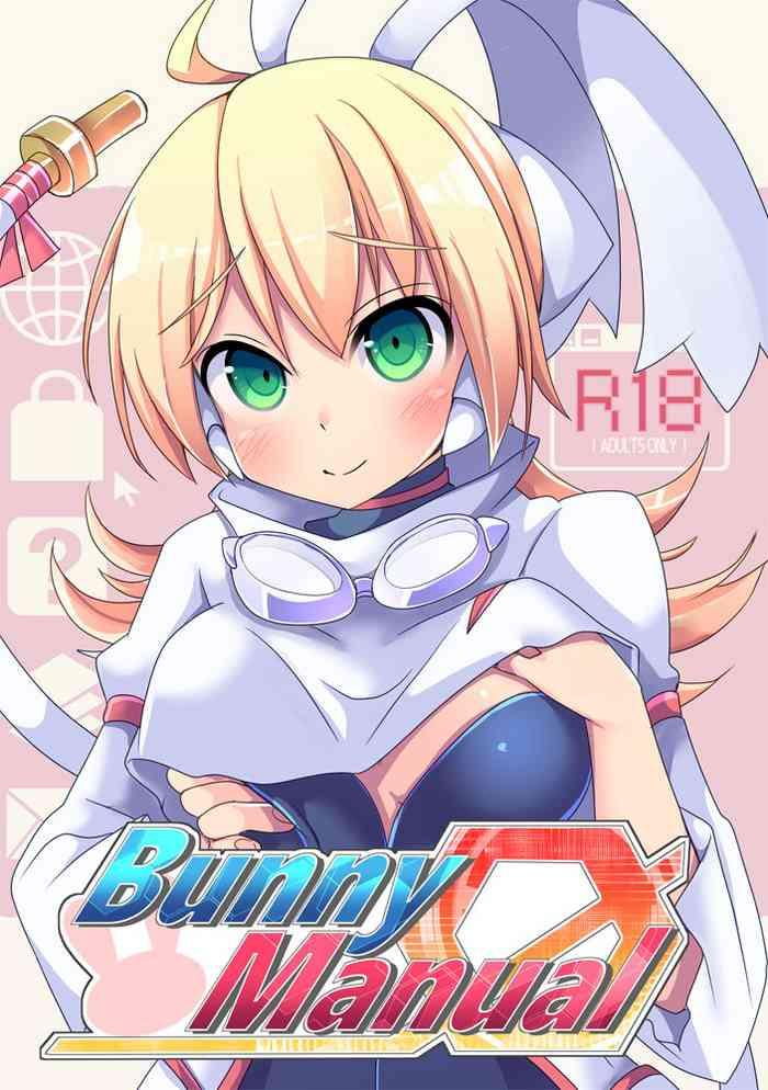Mature Bunny Manual - Blaster Master Zero 2