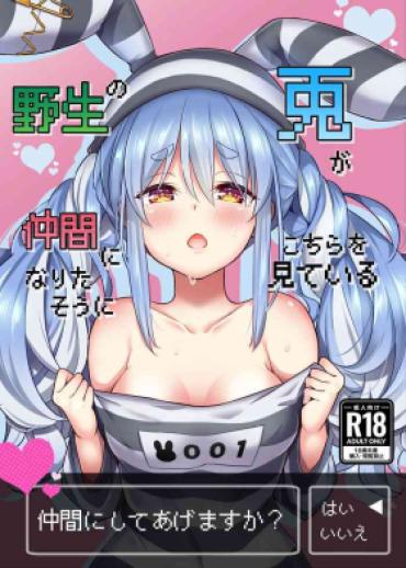 [Hachinoko P (hatigo)] Yasei No Usagi Ga Nakama Ni Naritasou Ni Kochira O Miteiru | Wild Rabbit Is Looking At You As If It Wants To Be Friends (Usada Pekora) [English] [Lidl Translations] [Digital]