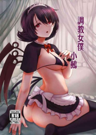 Facebook Nue-chan Maid Wakaraseru | 調教女僕小鵺 – Touhou Project