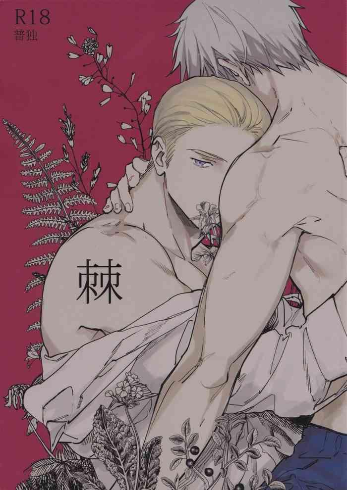 Bigcocks Toge - Axis Powers Hetalia Love