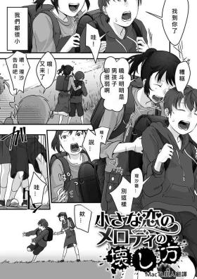 chīsana koi no merodi no kowashi kata