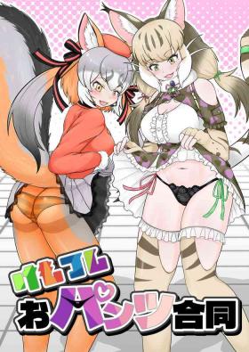 18 Year Old Porn けもフレおパンツ合同 - Kemono friends Machine