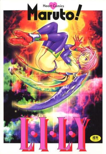 Grosso Lily