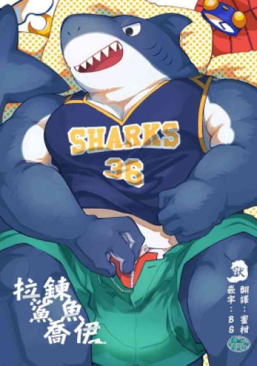 Latinas Zipper Shark Joey | 拉鍊鯊魚喬伊 – Original