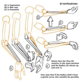 tomfox draws