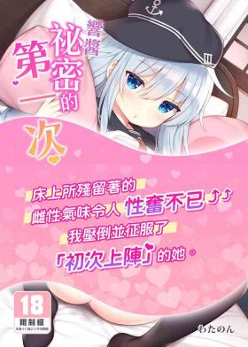 Hibiki-chan Himitsu no Hatsu Sounyuu