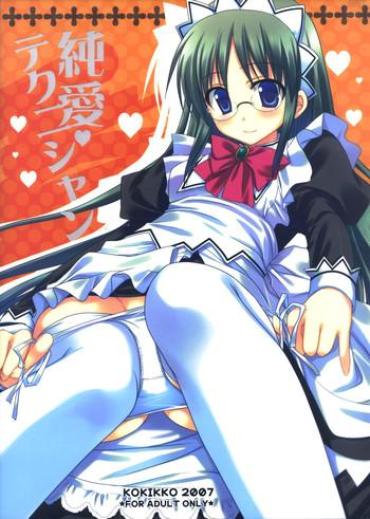(C72) [Kokikko (Sesena Yau)] Junai Technician (Hayate No Gotoku!)