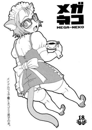 Girl Fuck MEGA-NEKO – Pokemon Lima