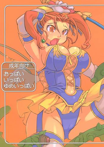 Fat Oppai Ippai Yume Oppai - Dragon Quest Viii