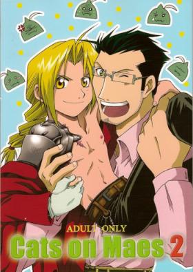 Gay Youngmen Cats on Maes 2 - Fullmetal alchemist Room