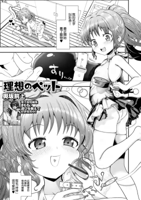 理想のペット