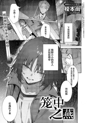 Tsubame Cyan No Sugomori | 笼中之燕