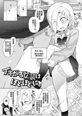 Ikigaru Josou wa Hodohodo ni