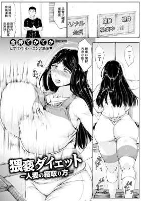 Waisetsu Diet