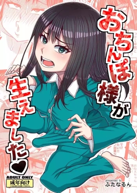 Ochinpo-sama ga Haemashita