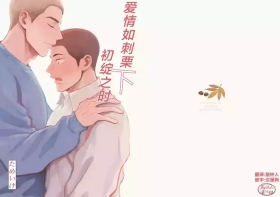 igaguri ga wareru koro ni| 爱情如刺栗初绽之时